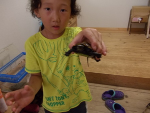 カメ捕獲するも