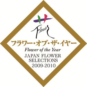 すごかったんだ!!