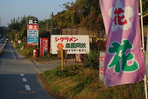 今日から