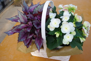 花も咲くんです