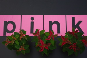 pink