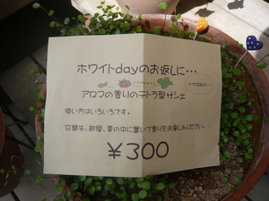 White day
