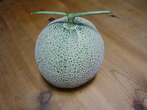 ネット