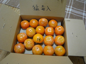 虚偽記載