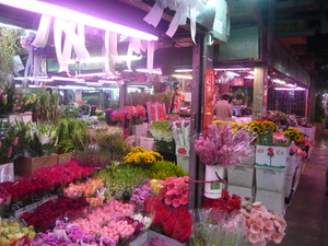 台湾記~花市場編~