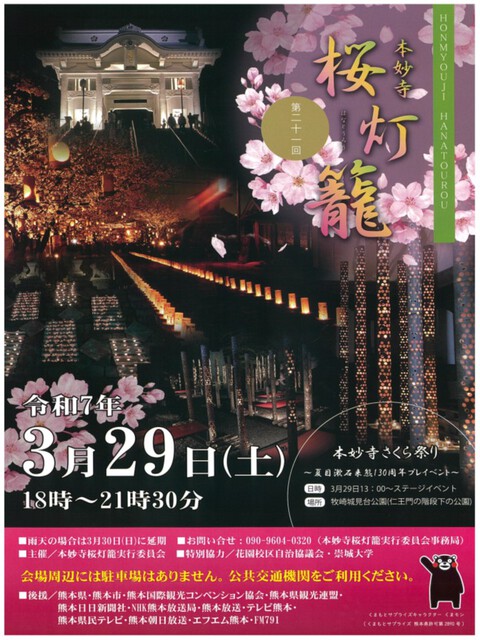 本妙寺桜灯籠 令和7年3月29日(土)夕刻〜 本妙寺桜灯籠 令和7年3月29日(土)夕刻〜