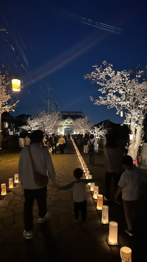 本妙寺桜灯籠　ありがとうございました！！