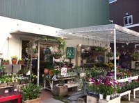 flower & garden &N 2013/10/16 19:20:44