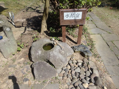 荒尾市の隠れ家☆タンシチュー専門店【森の中キッチン　のどか】