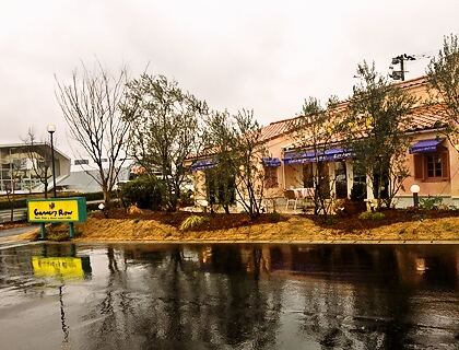 肥後のおなご Masaのくいしんぼう日記 Cannery Row キャナリィ ロウ さんでびっくら前菜ビュッフェランチ 艸