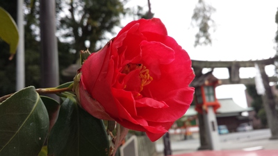 10月も宜しくお願い致します 10月も宜しくお願い致します