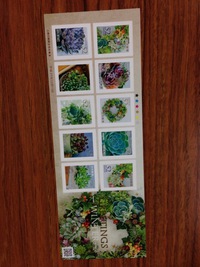 日本郵政が多肉植物の切手発行