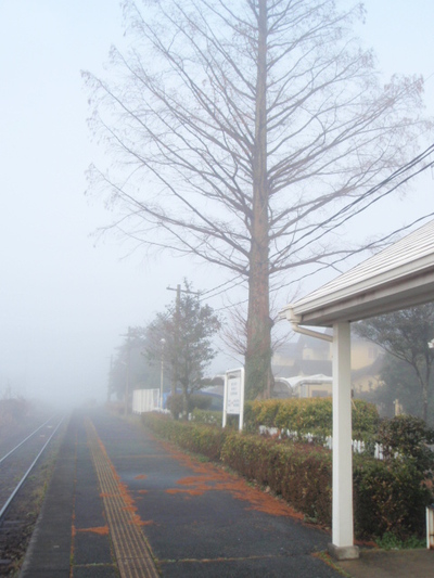 霧の朝でした