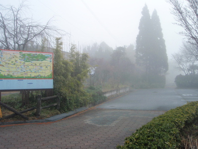 霧の朝でした