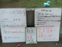 成長する為に出した答えは… 2019/01/26 12:47:38