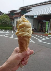 山江温泉ホタルのマロンソフトクリーム