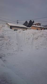 東北の冬本番!!!! 2015/02/04 19:29:26