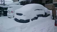 地元の雪！！ 2014/12/24 17:34:02