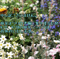 今週、来週の庭茶ショップは、庭茶まつりに向けて、お休みです！ 2019/04/10 20:16:26