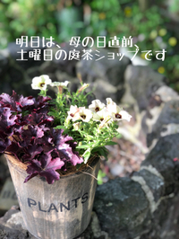 明日は、母の日直前、庭茶ショップです！ 2019/05/10 19:02:04