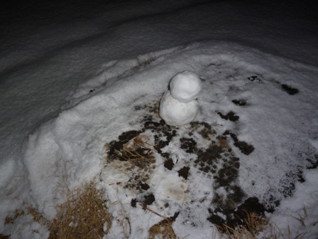 雪が積もったぁ!!