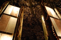 桜灯籠写真お持ちの方へ