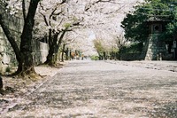本妙寺をご案内