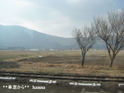 熊本にて。。