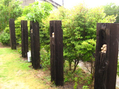 編み物と湯布院塚原