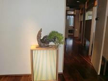 11/5オープン【虎白】は最高~~!!