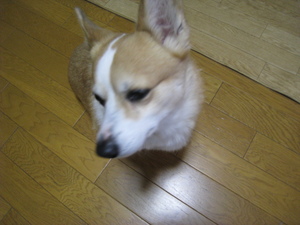 おがた健康農園