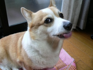 眼科