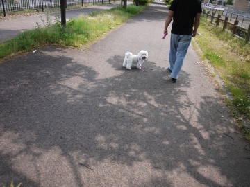 夏バテか？