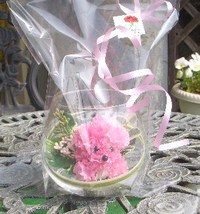 母の日の贈り物で～す。