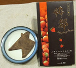 すごい風でしたね~