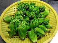 早春の訪れ