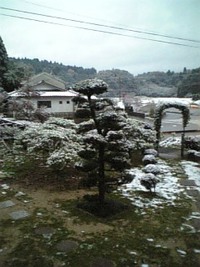 あら～っ、初雪ですよぉ～っ！！