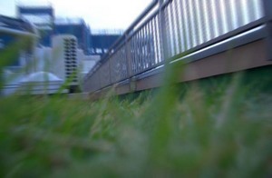 屋上緑化