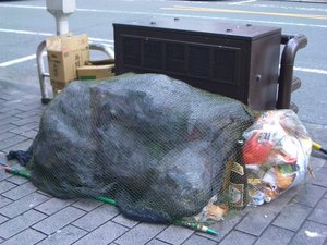ゴミとからす