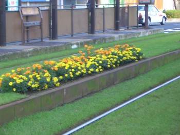 芝生の中の電車