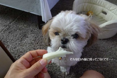 好物