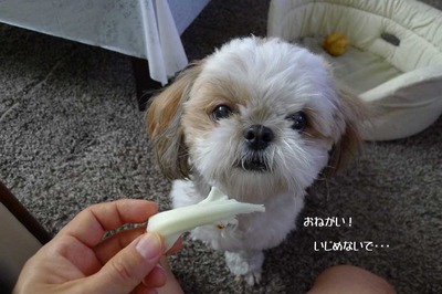 好物
