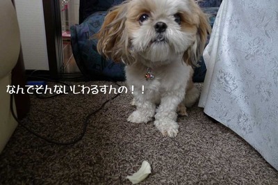 好物