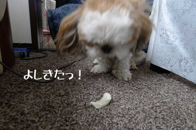 好物
