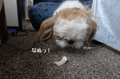 好物