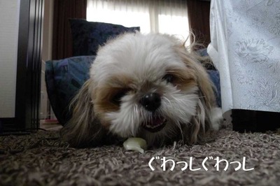 好物