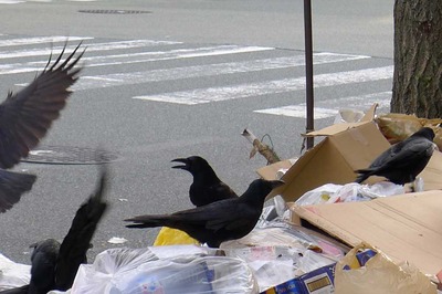 夢ある銀座通に