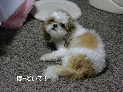 興奮