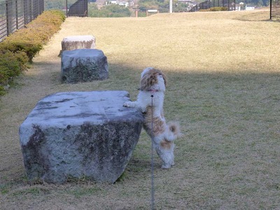 石神山公園