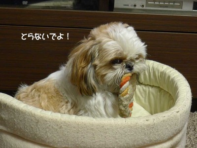 昔のお気に入り
